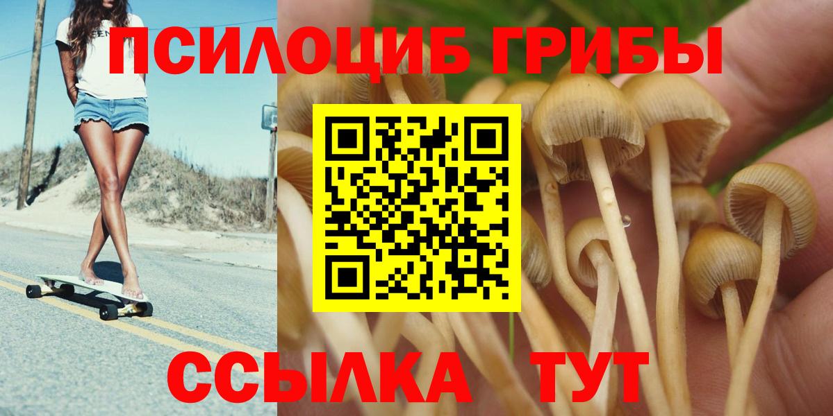 Сунжа  Лсд 25  Кокаин  Меф МЯУ МЯУ кристаллы  Вход с VPN  ГАШИШ 