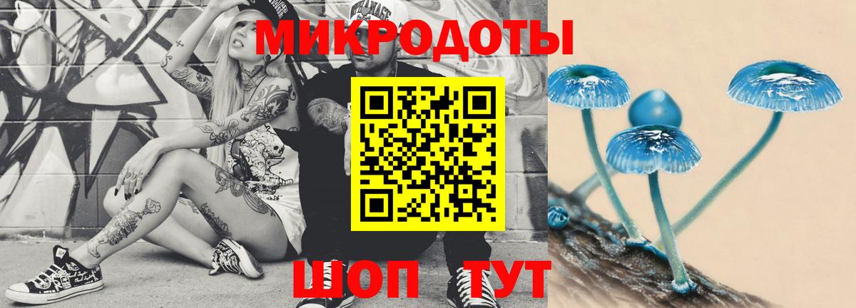 Сунжа  Галлюциногенные грибы прущие грибы  Вход с VPN  Псилоцибиновые грибы ЛСД 